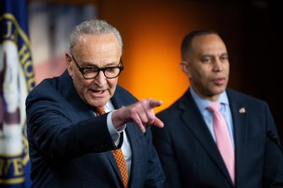 Schumer, Jeffries sue to block federal agents at polls in November