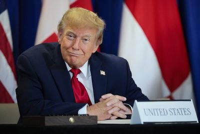 ‘It’s so corrosive to democracy': Over 50 federal prosecutors speak out against Trump's $100,000 a month 'insider trading' scheme