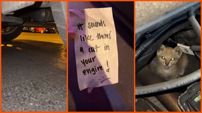California woman returns to car to find bizarre note that sends her on a 4-hour quest: ‘There’s a cat in your engine’