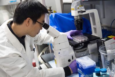 Deleting One Gene Kept Cancer-Fighting T Cells From Burning Out in St. Jude Mouse Studies of Immunotherapy
