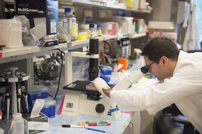 Texas A&M Scientists Map a Stress Shield That May Help Liver Cancer Cells Survive Chemotherapy in Lab Tests