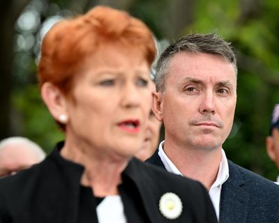 One Nation admits using party funds to build $56,000 shed on James Ashby’s private property