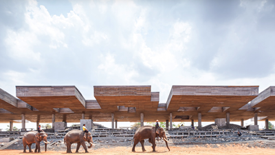 Piles of elephant dung outside a Thai village became bricks for the Goya Tower