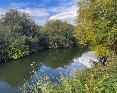 Country diary: Before Hastings was the Battle of Stamford Bridge. And it happened right here, 960 years ago today