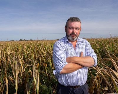 ‘We can’t ride this storm’: the English farmers facing uncertainty after sustainability funding runs dry