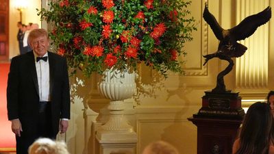 Trump’s bald eagle gift to Xi: What it means