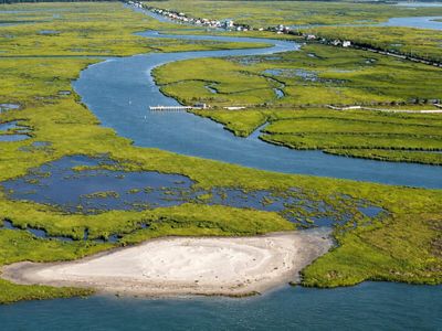 In 2014, New Jersey reused 7,000 cubic yards of dredged sand at Ring Island; the new nesting ground was later used by 4 threatened or at-risk shorebird species