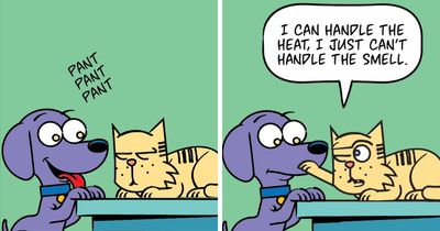 25 New Comics About My Dog And Cat, Who Couldn’t Be More Different If They Tried