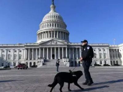 US Midterms 2026: How many House and Senate seats are up for election?