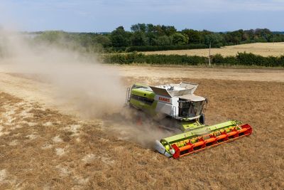 British farmers saw ‘disappointing’ harvest and lower crop yields after hottest summer on record