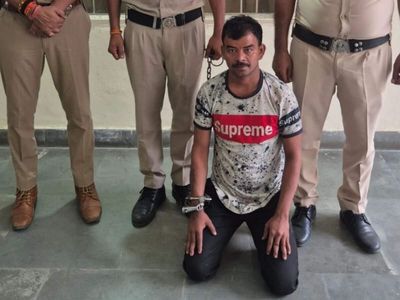 Gurgaon horror: Bus driver beats live-in partner to death with stick, pipe and roti belan after argument, similar case involving auto-rickshaw emerges in Nashik