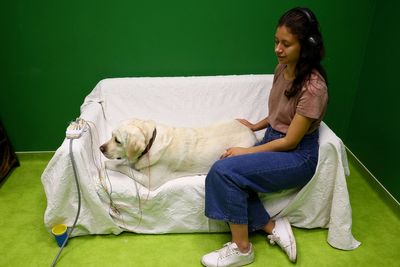 Scientists reveal how dogs decode what humans are saying