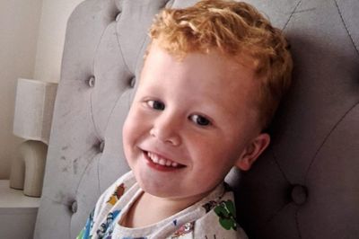 Noah Woods got through gap in fence before he was found in lake, inquest told