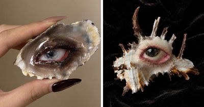 33 Natural Shells Turned Into Expressive Human-Eye Sculptures By These Artists