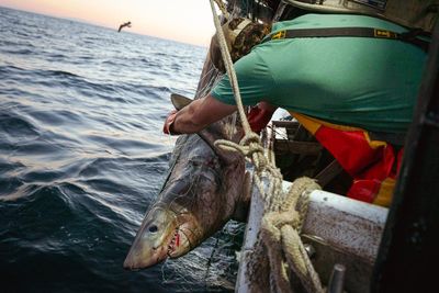 Trump’s executive order on recreational fishing is a ‘giveaway of fish and ocean ecosystem’, advocates warn