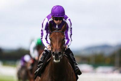 Saturday racing tips: Best bets for Cambridgeshire day at Newmarket