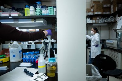 White House Reportedly Backs Away From Giving Political Appointees Veto Power Over NIH Grants After Collins Pushback