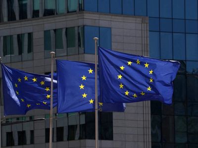 European Union vows to defend its stand against X after the US backs a court challenge from Elon Musk