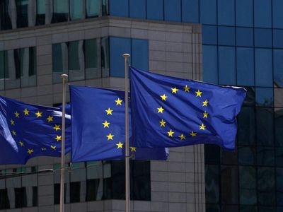 India reserves third-party rights in Russia-EU CBAM trade dispute in WTO: Official