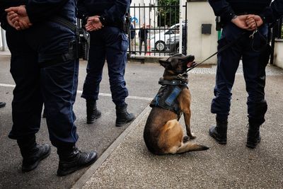 Police dog killed in shooting on day of retirement