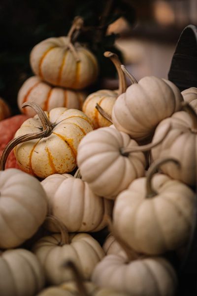 Fall Produce Is Landing Now—10 Items That Get Pricier If You Wait Until November