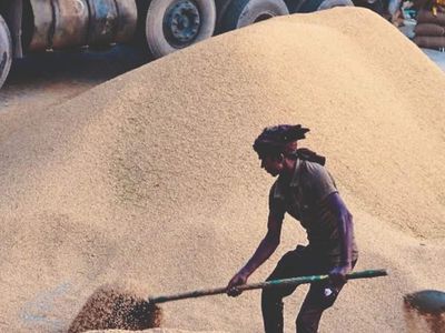 Smart rice policy would be nice