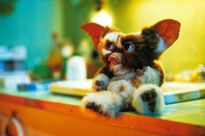 'Gremlins 3' Release Date, Trailer, And Possible Plot For The Legacyquel