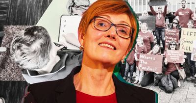 World-class and revolutionary: why the ACT is now paying the price for a bold vision