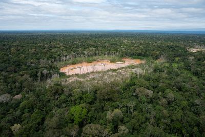 Peru faces human rights court over protections for isolated Indigenous peoples in Amazon
