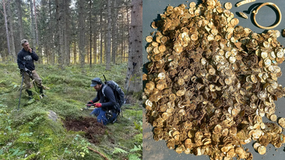 Man using metal detector finds 4,000+ Viking Age silver coins buried 39 feet apart