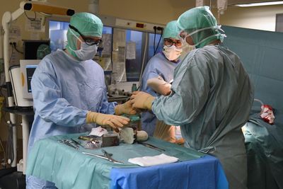 No Cognitive Decline Seen in 701-Person Study Even as Cobalt From Joint Replacements Reached the Brain