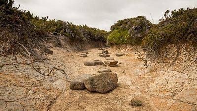‘Godzilla’ El Niño to be the strongest in living memory. How can we prepare for the unavoidable?