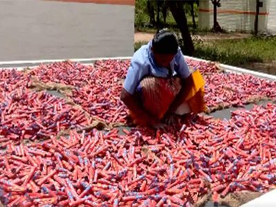 Tamil Nadu: Sivakasi firecracker units ramp up production ahead of Diwali amid labour shortage