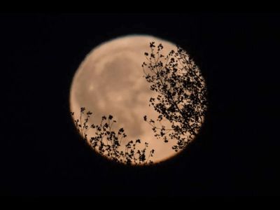 September full moon 2026: Date, rising timing, what makes it special and how to watch it in India