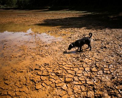 What is El Niño, what causes it and can we reduce the risks?