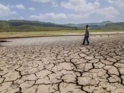 Maharashtra declares drought in 265 talukas or nearly three-fourths of state; announces relief measures