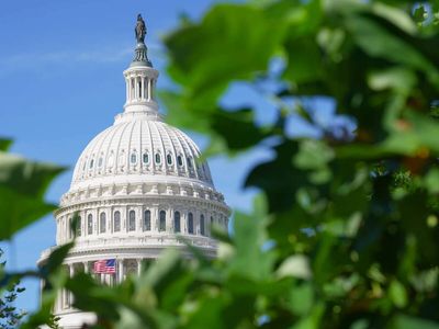 House Democrats plan vast oversight of Trump administration. Impeachment is an option