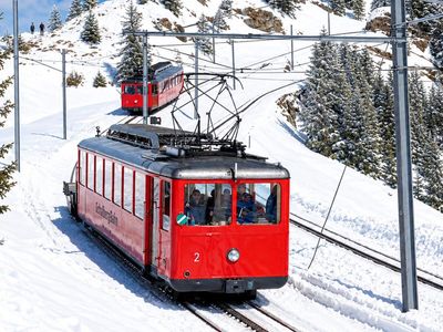 In 1871, Switzerland put a toothed rail between normal train tracks so carriages could climb steep Mount Rigi; 155 years later, the same system still works