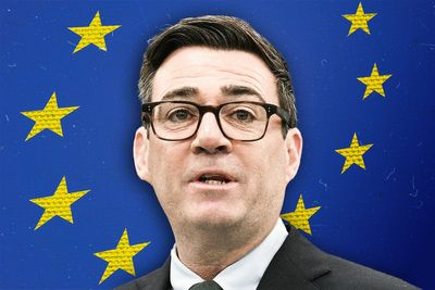 Burnham should still call snap election and campaign on reversing Brexit, former adviser says