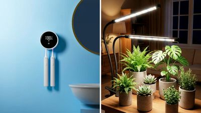 10 years ago these genius things would've been so expensive, but now they're cheap as hell