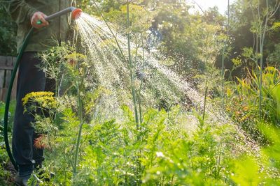 You’re Still Watering Like It’s July — Your Fall Garden Doesn’t Need It
