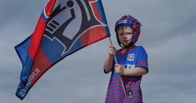 Red, blue and unforgettable: why this Knights finals run means everything