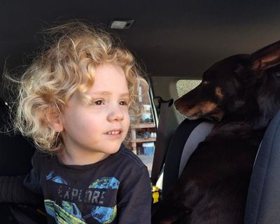Four-year-old Gus Lamont has been missing for a year. Police believe someone knows where he went