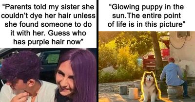 48 Wholesome Moments From The Internet That Made People Believe There’s Still Good Out There