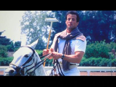 Sylvester Stallone listed his 23-acre California ranch for $7.95 million; the equestrian estate had 29 horse stalls, a 7,500 sq ft log cabin and a lighted polo field; it finally sold for $4 million, half of its listing price