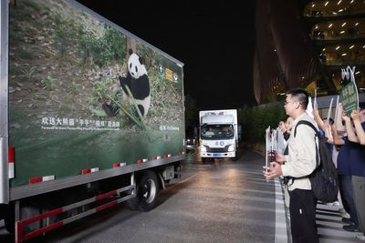 Two giant pandas head to Atlanta zoo from China after Trump-Xi agreement