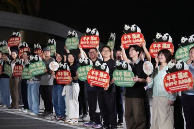 Two giant pandas head to Atlanta zoo from China after Trump-Xi agreement