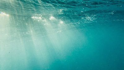 Can solar power work underwater? Scientists test solar panels 10 metres beneath the sea