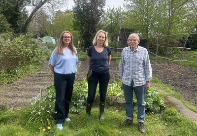 Campaigners in south London issue plea to stop allotments being turned into graveyard