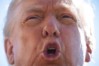 Bad language: profane Trump brings presidential swearing out into open